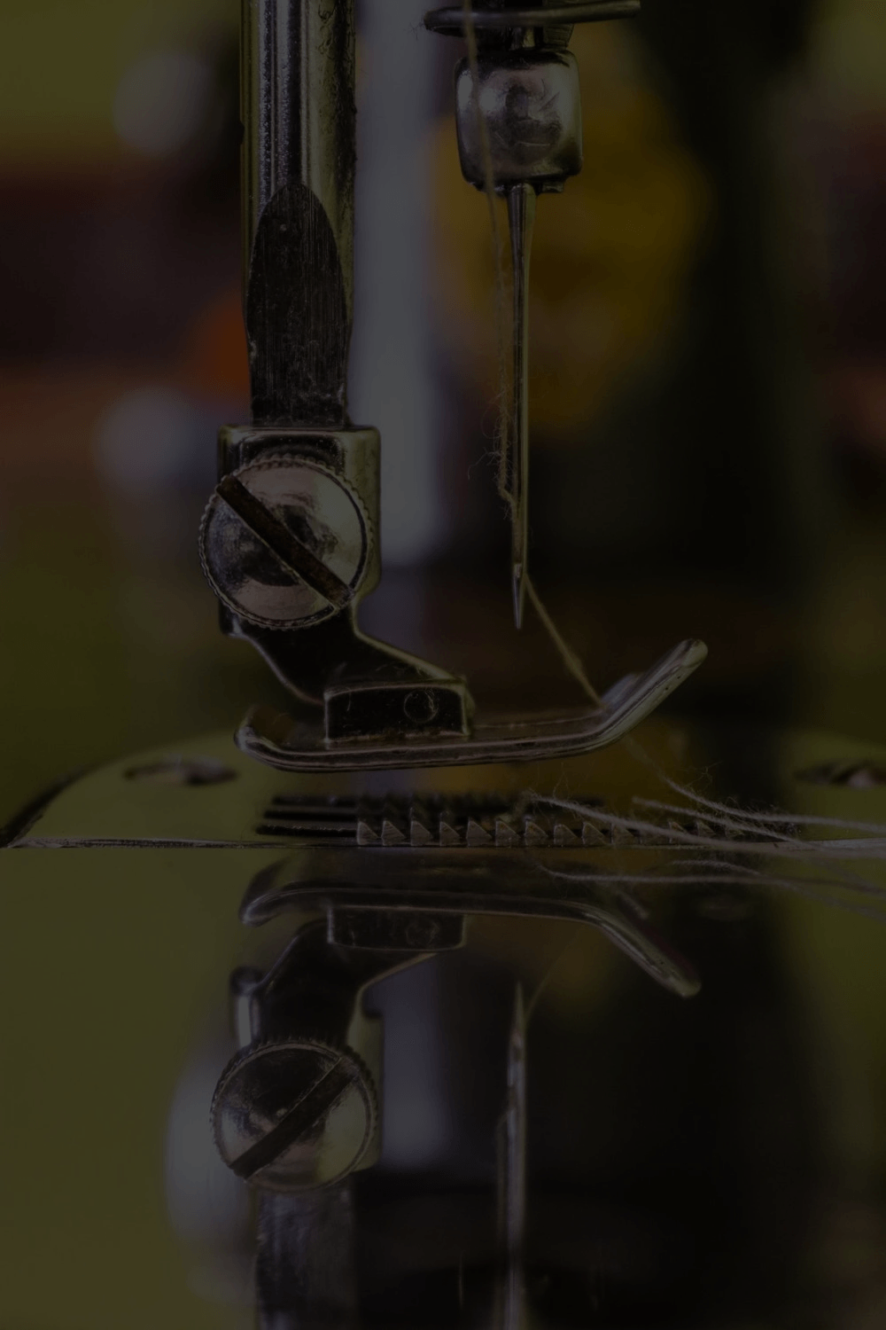 pexels-photo-3763234.png